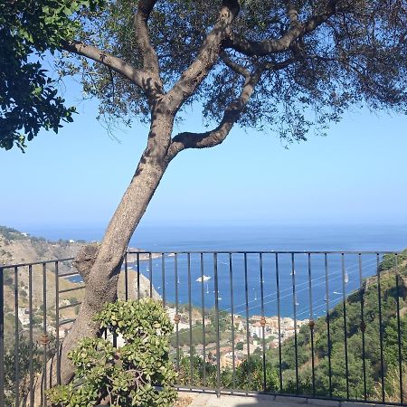 Willa Casa Da Daniela Taormina Zewnętrze zdjęcie